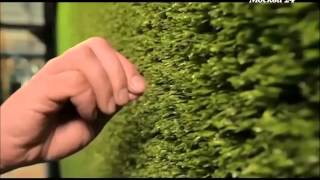 Как производится искусственная трава в компании 