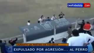 Аргентинский футболист напал на собаку!!