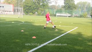 Футбольная техника и техническая тренировка футболиста