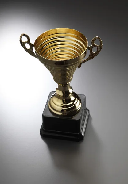 Золотой Кубок чемпиона Стоковая Картинка