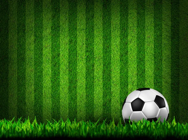 Футбол футбола на поле трав Стоковое Фото