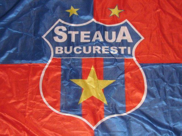 Лого Стяуа Бухарест - Stone Forest