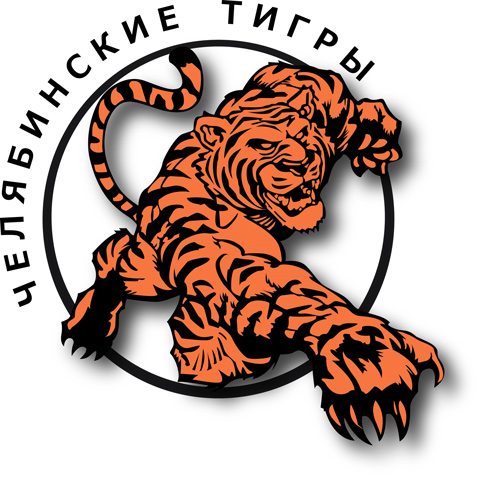 Челябинские тигры - ЛФЛ 8х8, любительский футбол на Урале