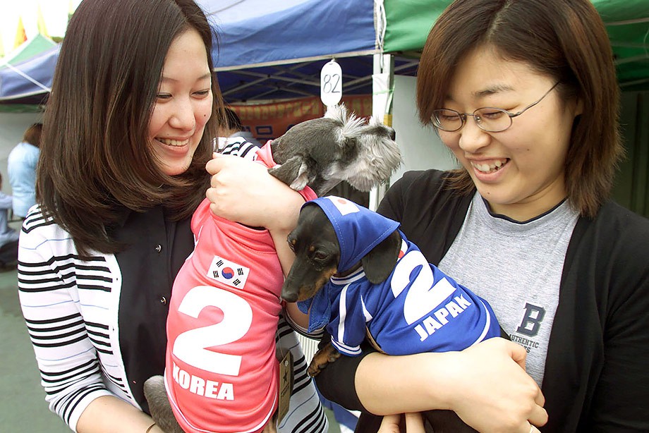 Мясо собак повышает выносливость – так ли это? 7 мифов о корейском футболе
