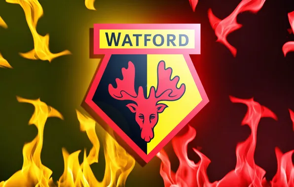 Обои wallpaper, sport, Watford, football, logo