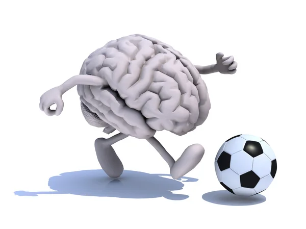 Человеческого мозга с его руки и ноги работает с футбольным мячом Стоковая Картинка