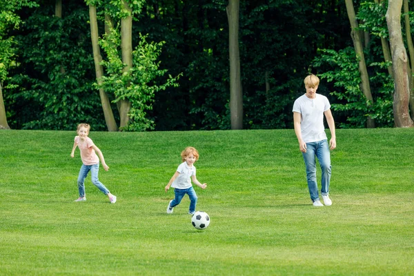 Отец с детьми, играть в футбол в парке Стоковая Картинка
